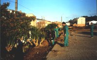 El Taller d'Ocupaci� del Bages Sud treballant a la zona del cementiri