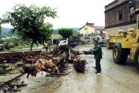 Va caldre serrar els troncs dels arbres per poder-los retirar dels carrers