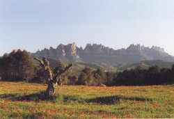A prop de les Muntanyes Russes, seguint en direcci oest, el serrat de la Beguda ofereix magnfiques i desconegudes panormiques sobre Montserrat