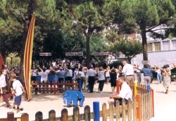 Rotllanes de sardanes sota l'ombra dels pins de la pla�a de Catalunya