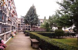 Interior del cementiri, perfectament conservat gr�cies a la dedicaci� d�en Joan Casals
