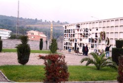 N�nxols de la part m�s nova del cementiri