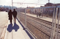 Nova tanca de protecció ja col·locada en el seu lloc