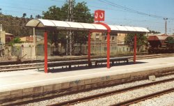 La nova marquesina de RENFE, a l'andana central de l'estaci