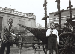 Francesc Suau i Jaume Dalmau