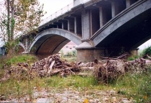 Dos anys i mig desprs de la riuada de lany 2000 encara trobem runa i troncs a sota el pont
