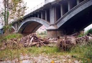 Dos anys i mig despr�s de la riuada de l�any 2000 encara trobem runa i troncs a sota el pont