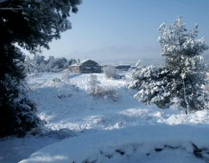 El Bosc de Sant Joan amb la Masia al fons va deixar una aut�ntica postal de Nadal