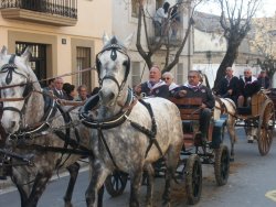 Carruatges vinguts de tot Catalunya tamb� van participar a la festa organitzada pel Gremi de Carreters i Cansaladers
