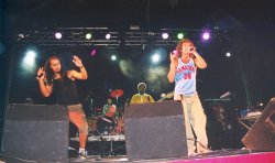 El concert despr�s del Correfoc amb Macaco i Gertrudis va aplegar a m�s de 1200 persones
