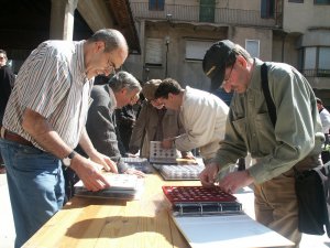 Al llarg de tot el mat es van intercanviar un gran nombre de plaques de cava entre aficionats i colleccionistes. / JORDI LARGO