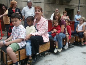 La Diada del Tren en Miniatura organitzada per ASVICAF va aplegar a grans i petits a pujar a un petit tren de cinc polzades. / JORDI LARGO