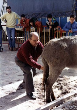L'"Esquilet" �s observat amb atenci� per uns escolars i el seu mestre